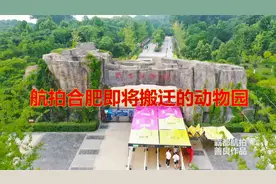 合肥迈向新一线城市，野生动物园因场地限制即将搬迁肥东或肥西!