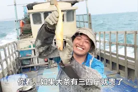 这种普通小黄鱼，价格高达每斤一百多块，个头再大些可能就是天价视频封面