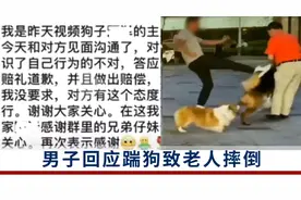 男子回应踹狗致老人摔倒：登门道歉并做出赔偿