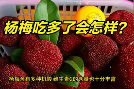 杨梅吃多了会怎样？台州两人因此送医 医生:肾功能不好的人要注意