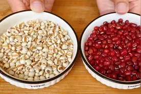 夏天多吃红豆薏米，教你正确做法，做一次喝一夏天，几分钟学会