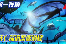 假如小男孩挑战恶鲨水滑梯被吃掉？第一视角展开紧急营救！视频封面