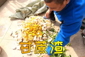 农贸市场的垃圾甘蔗渣，在园艺人手里变废为宝的简单方法妙招视频封面