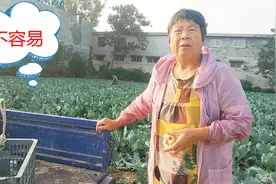 河南郑州蔬菜越来越贵，看看菜农怎么说？翻了不止六七倍！视频封面