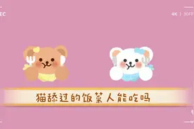家里养猫的话，要注意食物是否被猫舔过，猫舔过的饭菜人还能吃吗