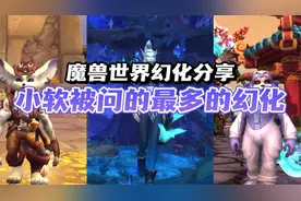 【小软】魔兽世界绝美幻化分享！小软的私藏调料包大揭秘！