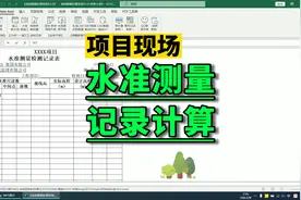 水准测量记录计算（标高检测）