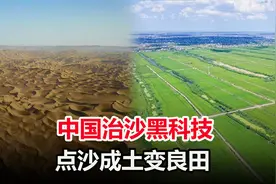 沙子也能变成土？中国新型沙漠治理粘合剂，让万亩沙漠变良田视频封面
