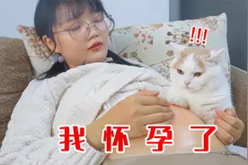 假如女主人怀孕了，猫咪会不会保护孕妇？猫：有点懵！