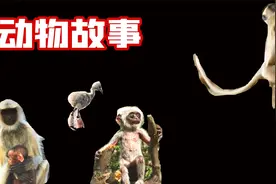 机器人装扮成猴子 混进野生动物中 最后都没被发现 9.8分纪录片视频封面