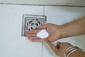 家里很多小飞虫怎么办？奶奶教我土方法，简单好用又省钱