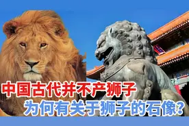 中国古代并不产狮子，为何喜欢在门口放一对石狮，其中有何奥妙？视频封面
