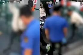 河北承德一男子夜市上卖猫遇城管怒摔死猫，警方：行政拘留5日视频封面