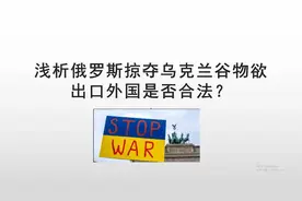 浅析俄罗斯掠夺乌克兰谷物欲出口外国是否合法视频封面