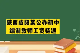 陕西咸阳某公办初中编制教师工资待遇视频封面
