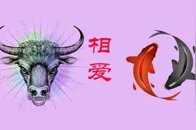 双鱼座和金牛座在一起要注意什么？视频给你分析视频封面