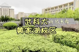 武汉科技大学黄家湖校区，知名校友腕儿大，学校每年请学生吃大餐视频封面