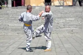 罗汉十八手教学视频视频封面