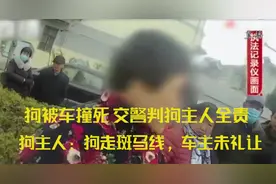 小狗被撞死，交警判狗主人全责，狗主人：狗在斑马线，车主未礼让视频封面