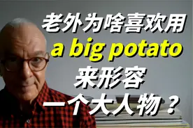 在美国，人们为啥喜欢用"a big potato"来形容一个大人物？