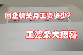 国企机关月收入多少？工资条大揭秘视频封面