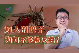 叮咬人类又传播疾病，我们为何不把讨厌的蚊子灭绝？视频封面