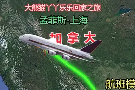 模拟大熊猫丫丫和乐乐回国之旅，从孟菲斯到上海，飞行长达18小时