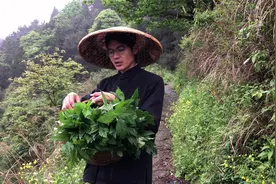 这种野菜有一股奇特的味道，简单一炒风味爽口,吃了还有很多好处