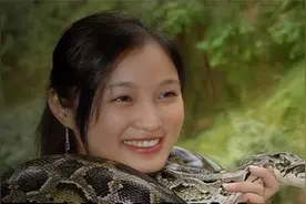 20000条蛇肆虐泰国，曼谷成为蛇的天堂，专家：要学会与蛇共存