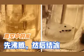 真空中的水，先沸腾，后结冰视频封面