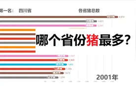 中国各省份活猪数量排行榜视频封面