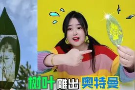 用针戳一戳，树叶上能戳出“美女”！雕刻出得500元，真能成功吗视频封面