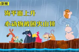 大雨导致海平面上升，小动物只好爬上火山顶，躲在上面避灾视频封面