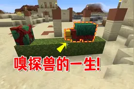 我的世界：1.20版本嗅探兽的一生，像是三种生物的结合体