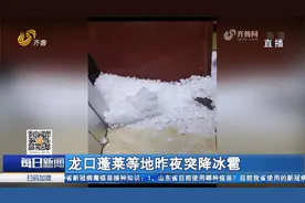 龙口等地夜晚突降冰雹，如花生米大小，果树受损农技专家上门指导视频封面