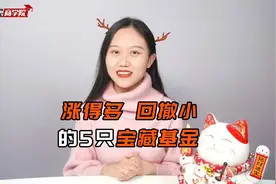 既能涨、又抗跌的基金，全市场只选出这5只！视频封面