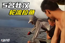 广东海域现深海大金枪鱼，5个大汉轮流上阵才拉上船，看着都累