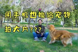 看我如何给狗狗拍视频，感谢狗狗配合