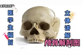 颅骨解剖图讲解：够清晰！