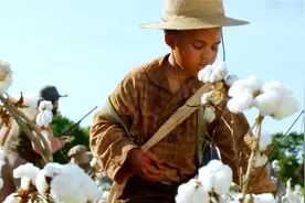 颠覆三观的黑白理念，八岁黑人男孩被迫摘棉花，美剧