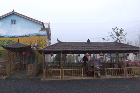 围绕“五大振兴”做文章 促进桃花源高质量发展视频封面