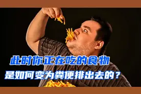 食物如何转化为粪便？高清3D演示，一分钟看懂消化系统如何运作！视频封面