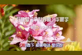 《好想爱这个世界啊》华晨宇