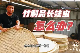 竹制品为什么会长蛀虫？长蛀虫了怎么办?用这方法有用轻松处理视频封面