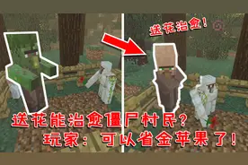 我的世界：小铁傀儡送花能治僵尸村民？玩家：以后能省金苹果了！