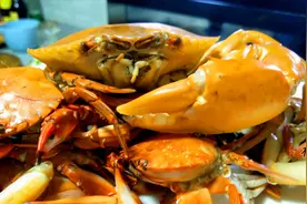 赶海抓螃蟹一锅焖，好食材用最简单烹饪方式