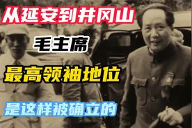 从井冈山到延安，伟大的领袖毛主席的地位是这样被确立的。视频封面