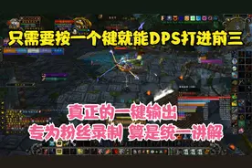 TBC怀旧服猎人抽筋宏 真正的闭眼一键输出宏