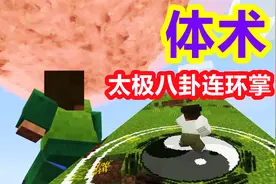 我的世界忍者生存38：开启新体术流，技能太极八卦连环掌