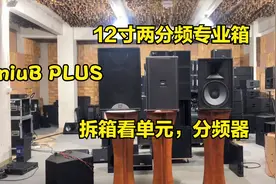 12寸进口单元专业音箱，高音爆发力十足，一只箱子覆盖180平空间视频封面